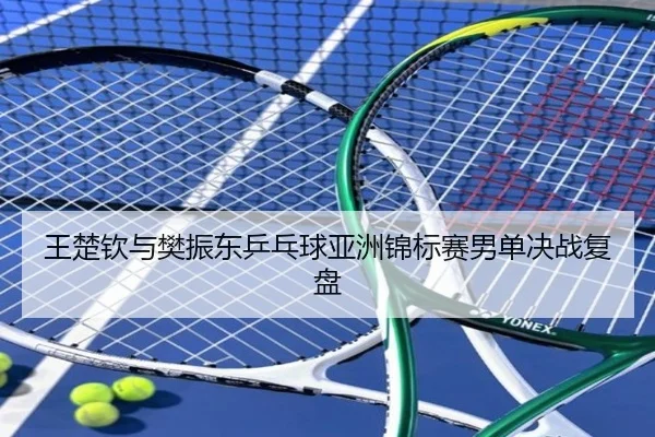 王楚钦与樊振东乒乓球亚洲锦标赛男单决战复盘 | uedapp
